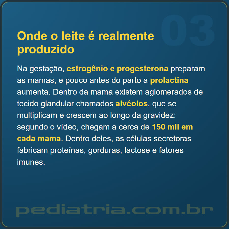 Slide 3 de 6 da edição
