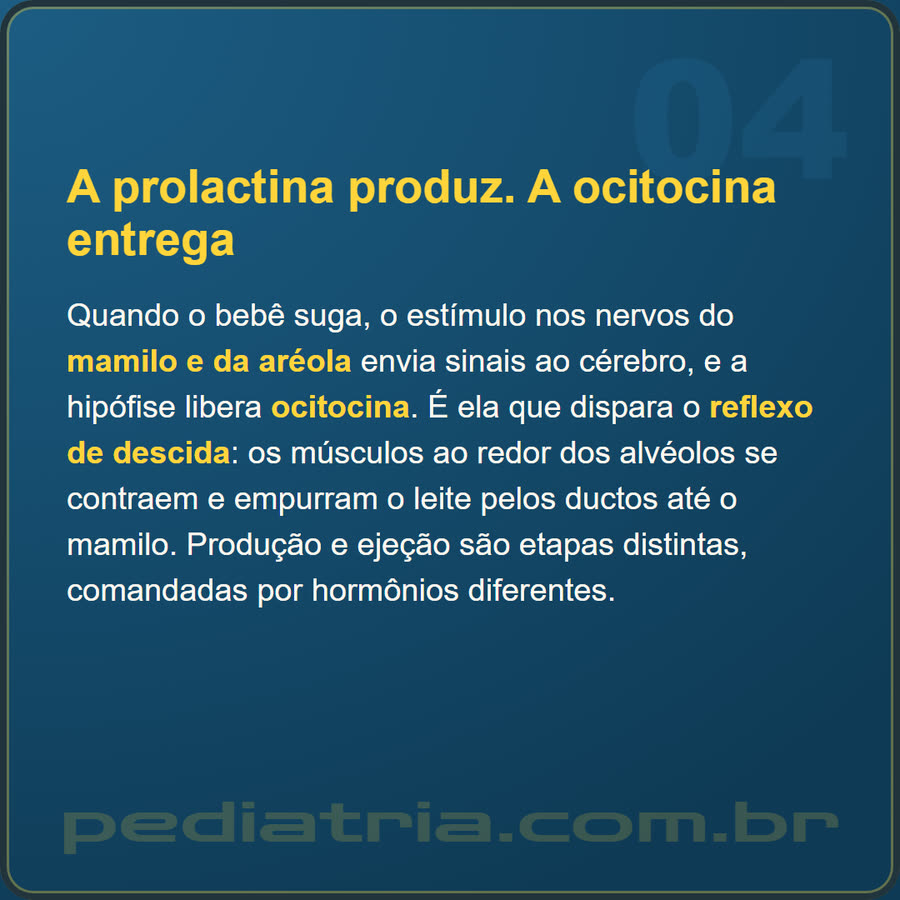 Slide 4 de 6 da edição
