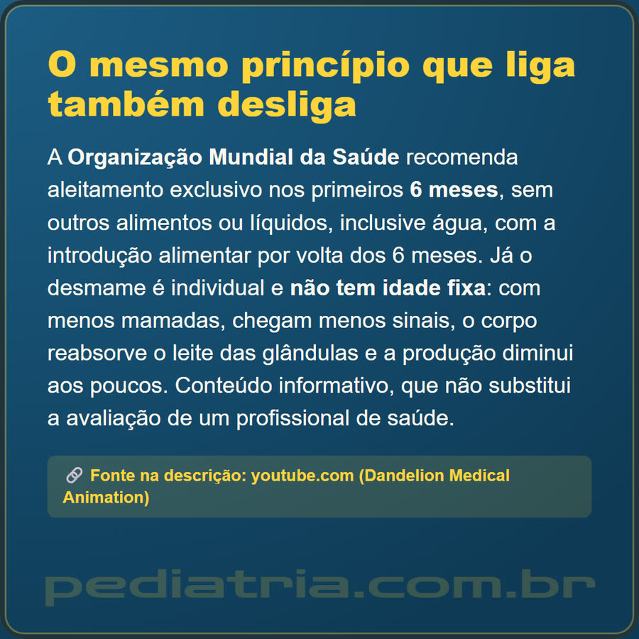 Slide 6 de 6 da edição