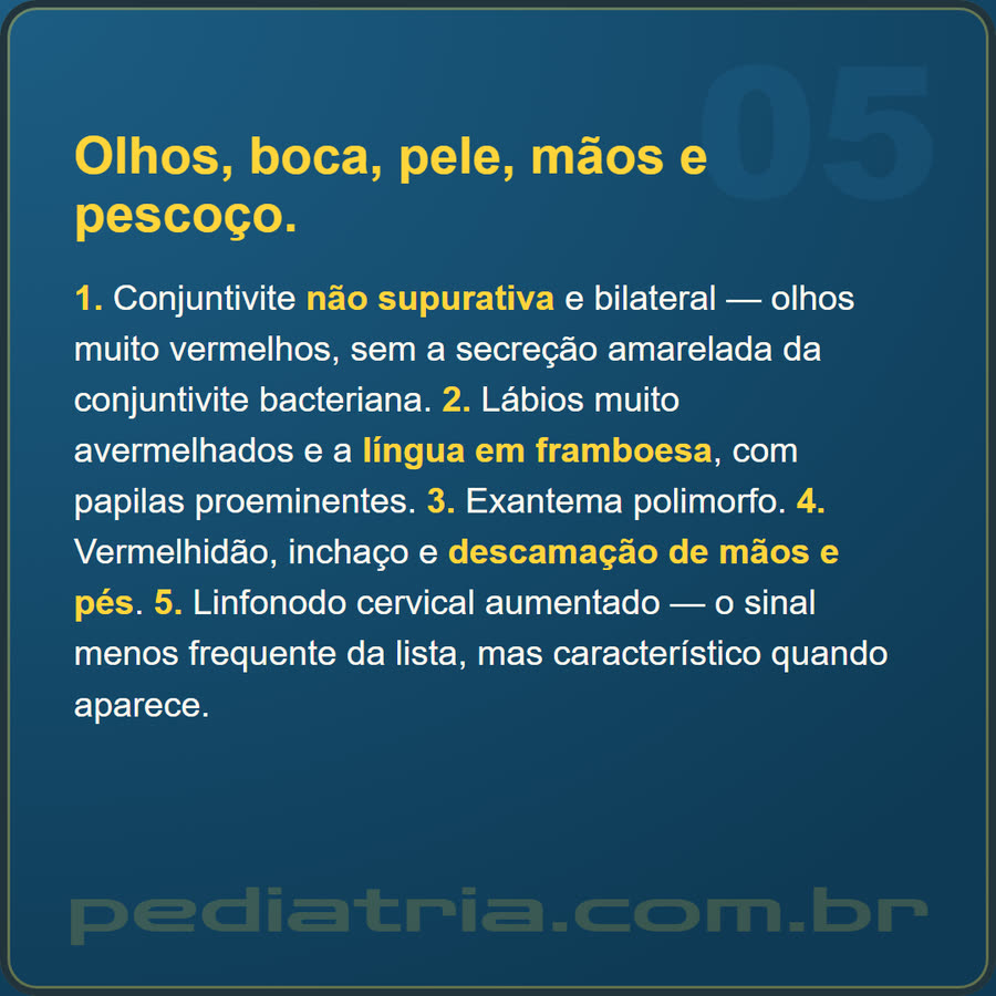 Slide 5 de 6 da edição