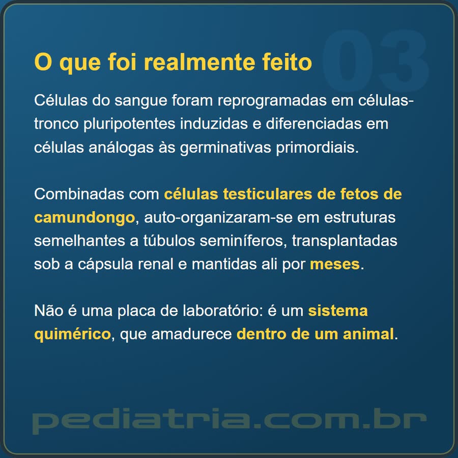Slide 3 de 6 da edição