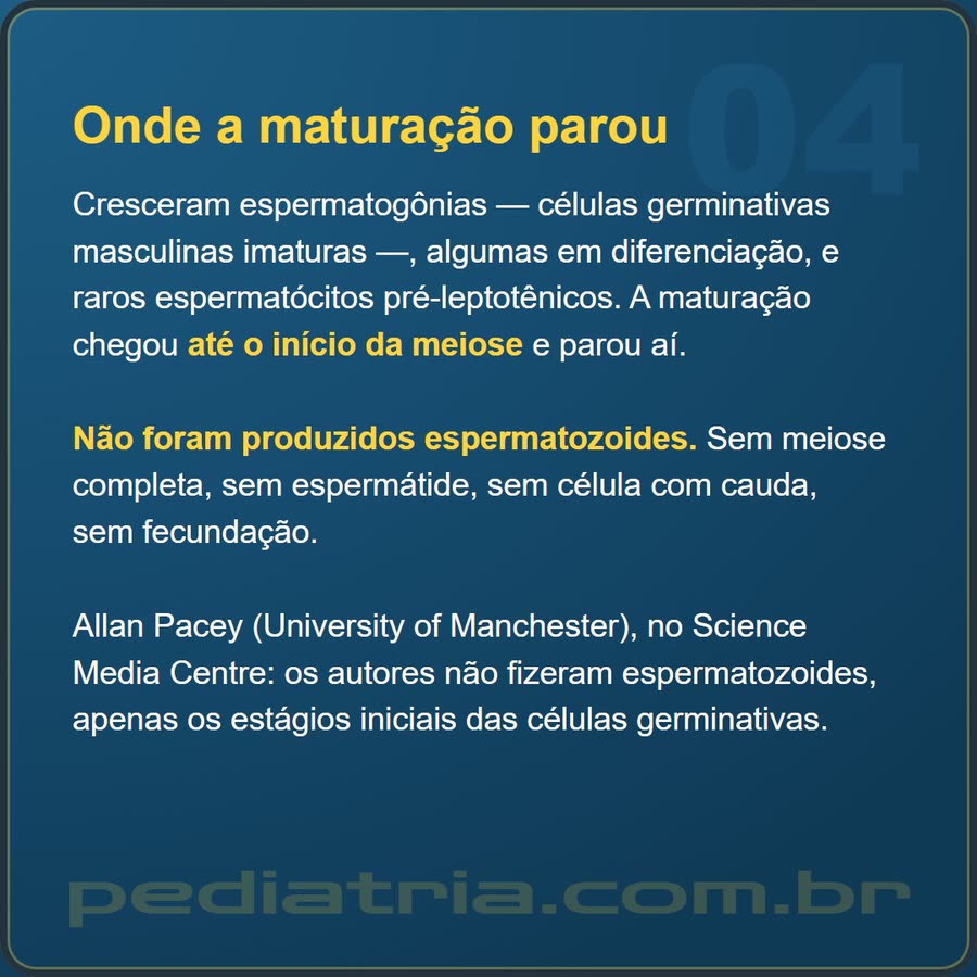 Slide 4 de 6 da edição