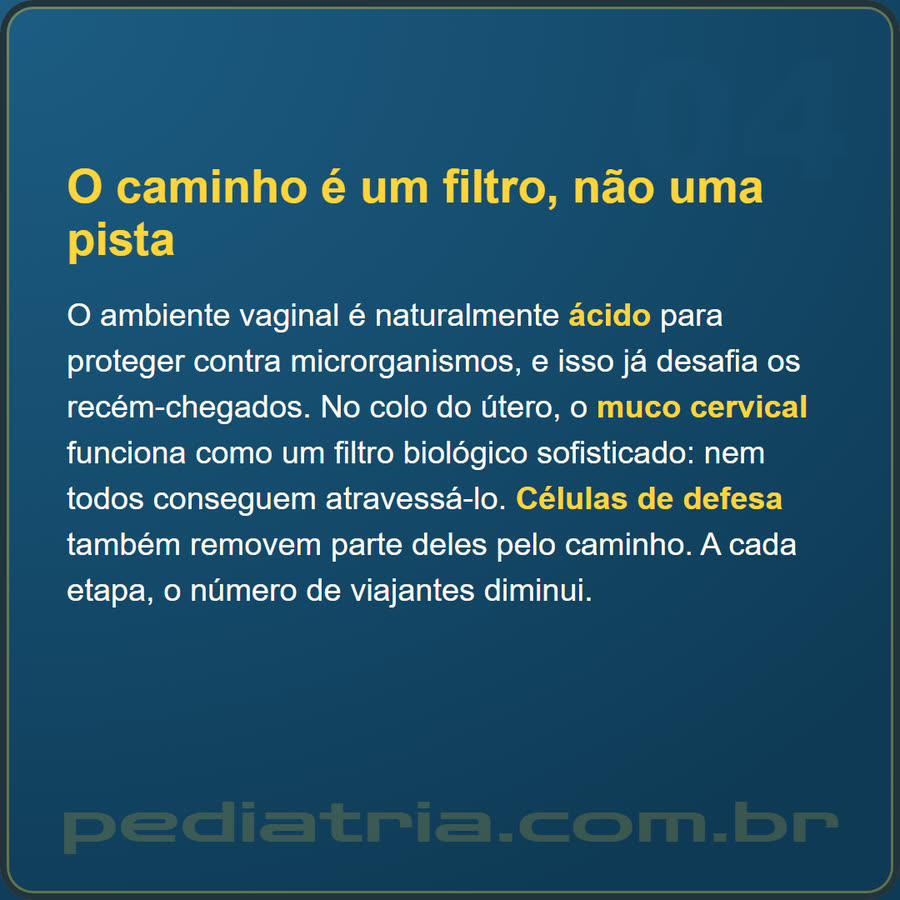 Slide 4 de 6 da edição