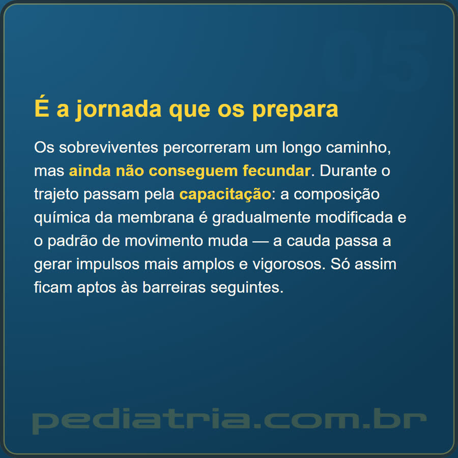 Slide 5 de 6 da edição