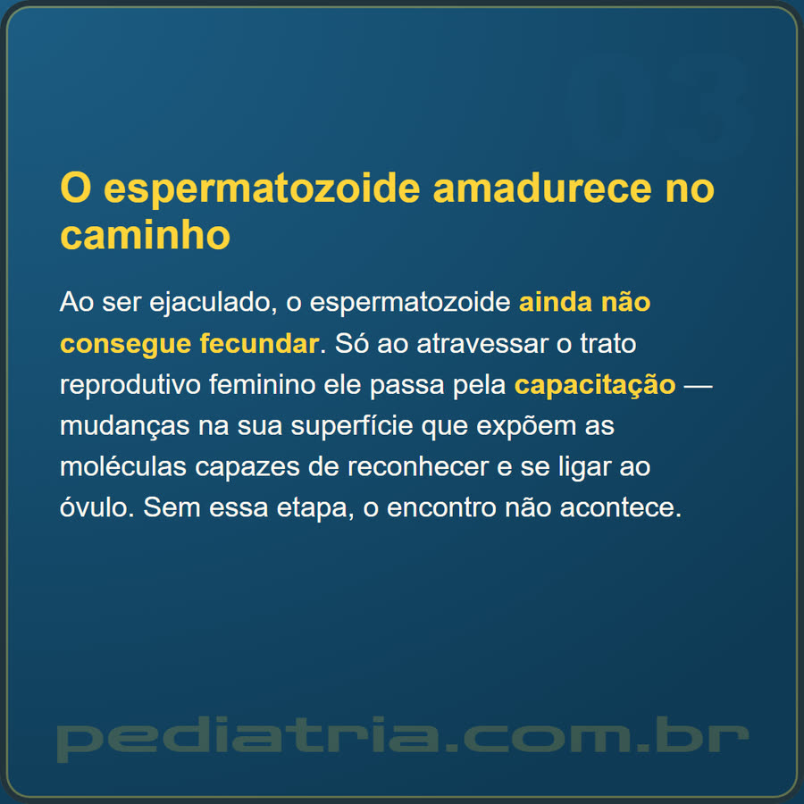 Slide 3 de 6 da edição