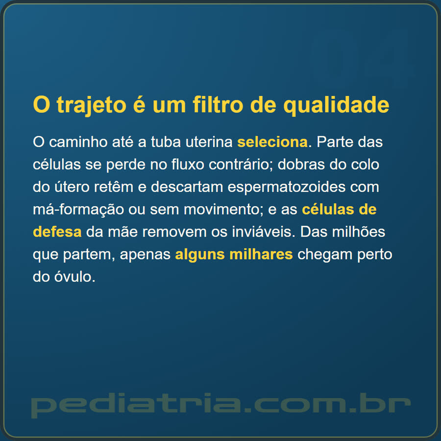 Slide 4 de 6 da edição
