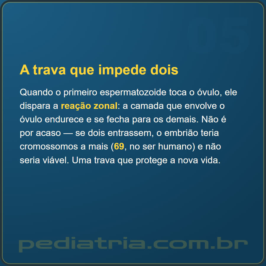 Slide 5 de 6 da edição