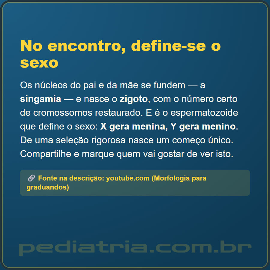 Slide 6 de 6 da edição