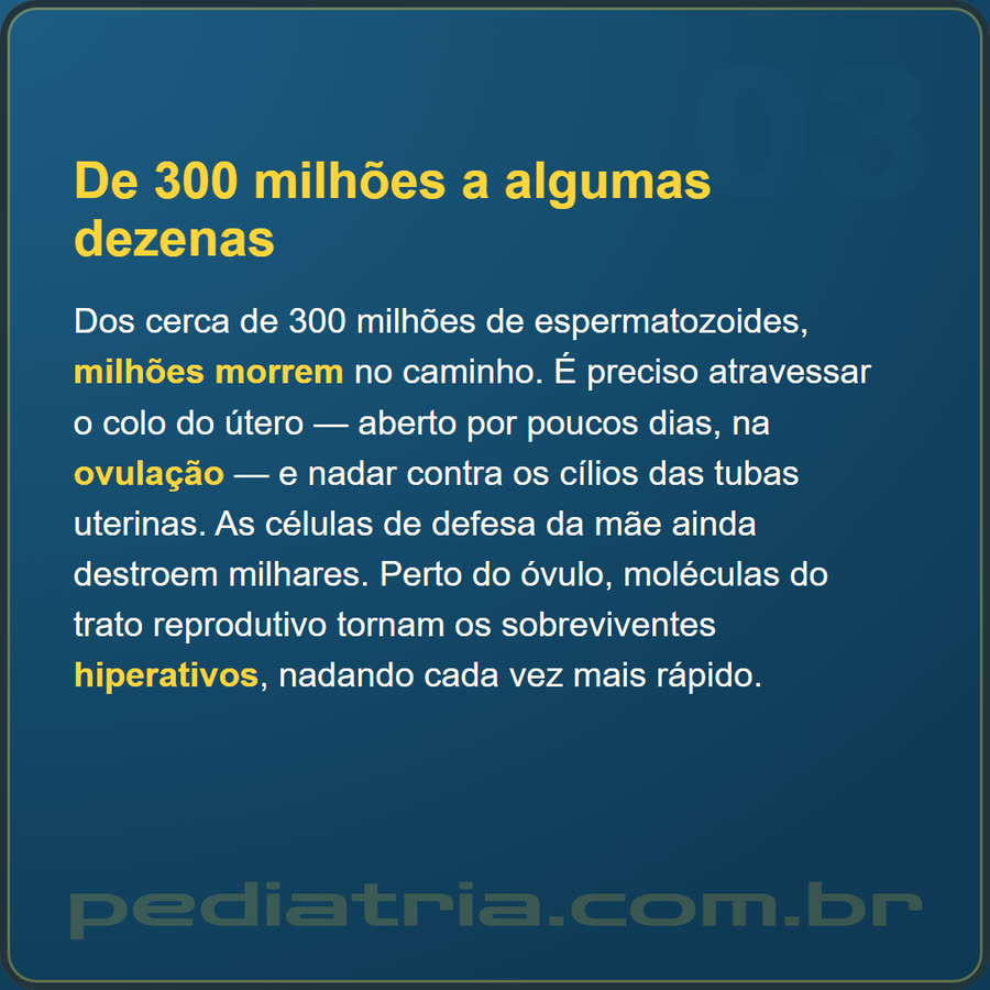 Slide 3 de 6 da edição