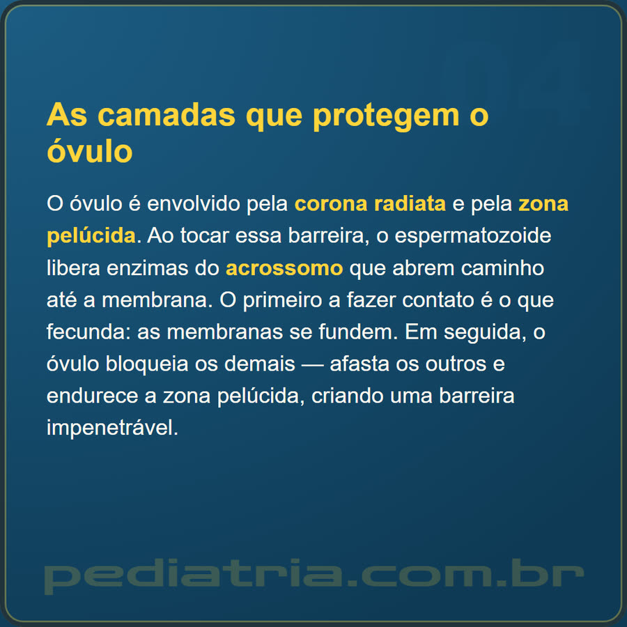 Slide 4 de 6 da edição