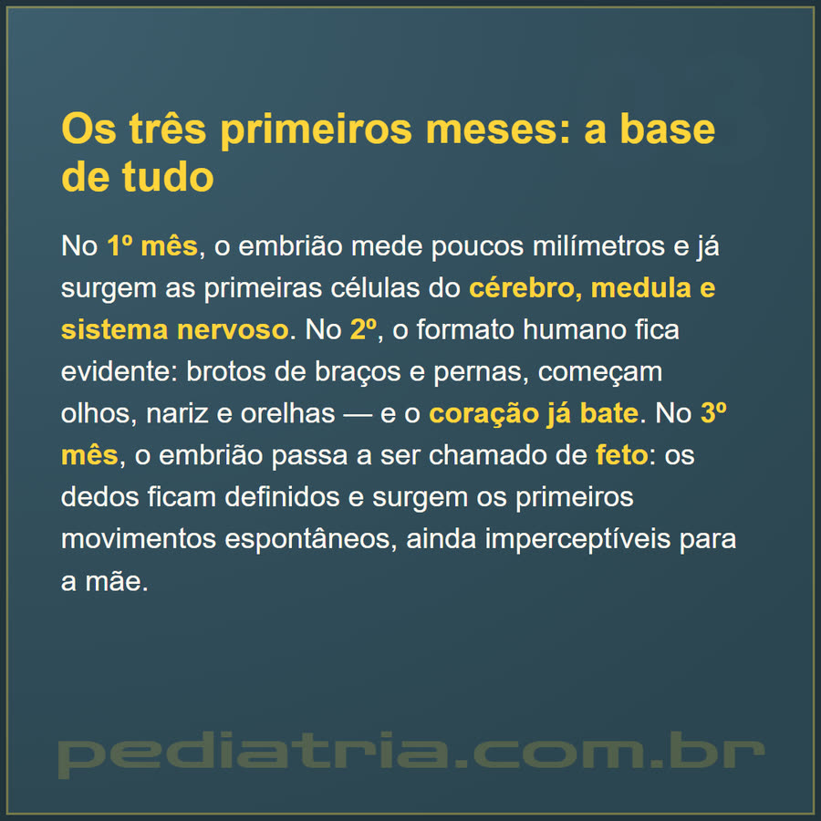 Slide 3 de 6 da edição