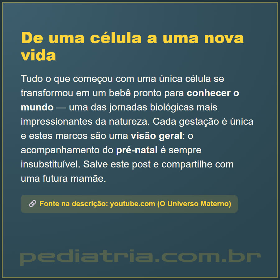 Slide 6 de 6 da edição