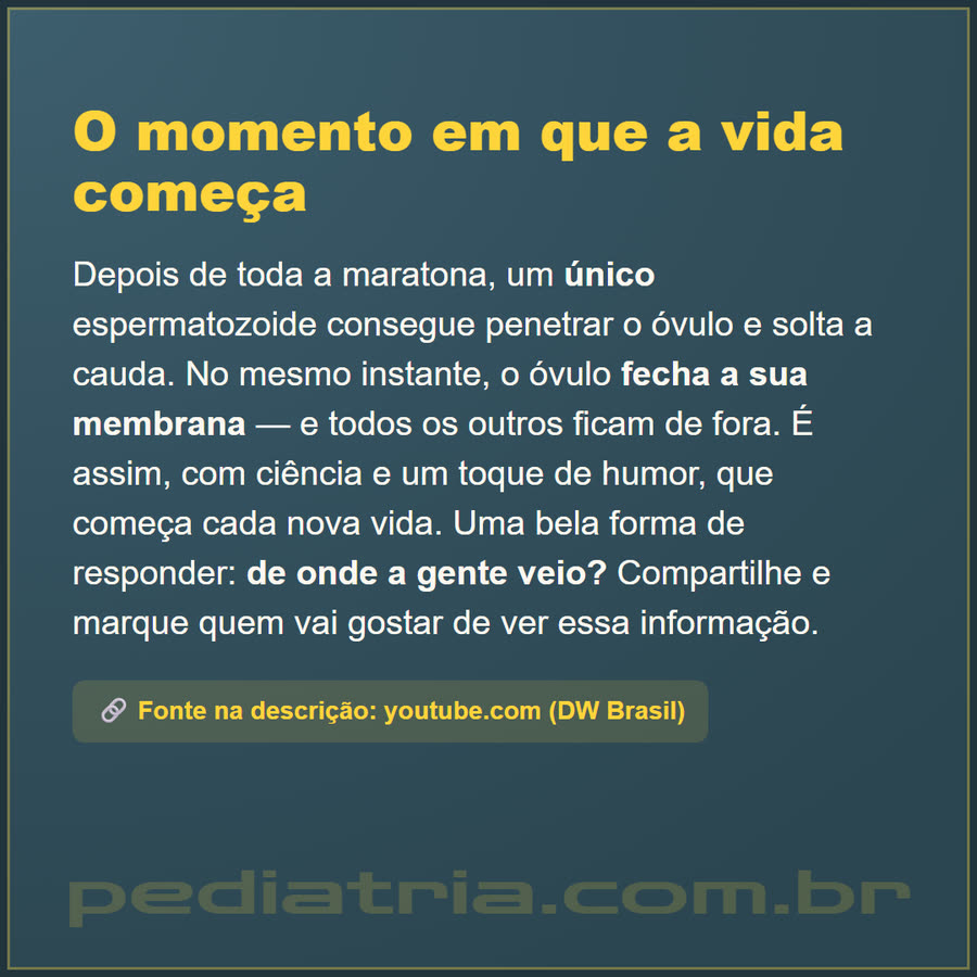 Slide 6 de 6 da edição