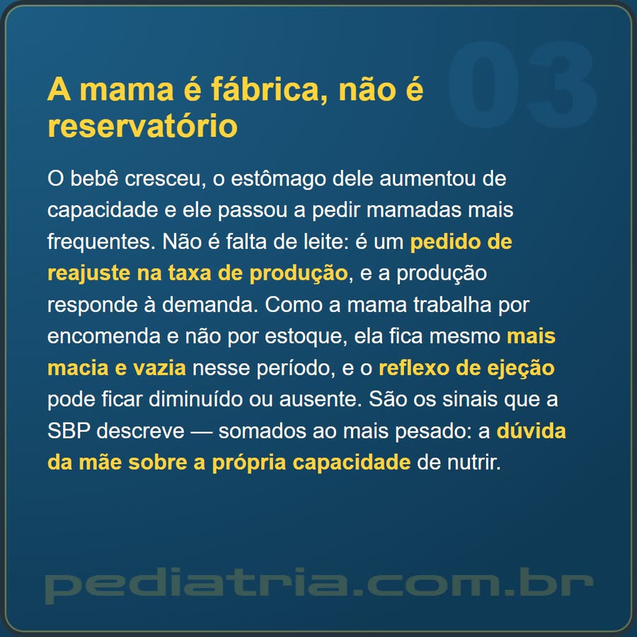 Slide 3 de 6 da edição
