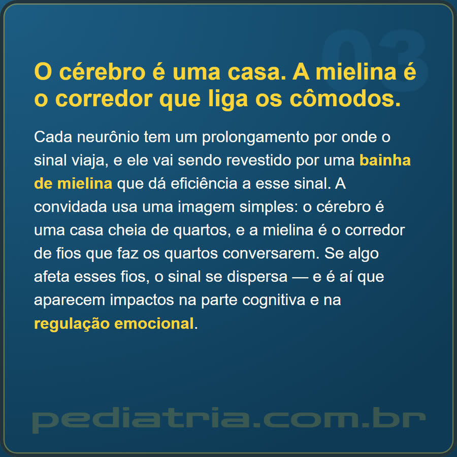 Slide 3 de 6 da edição