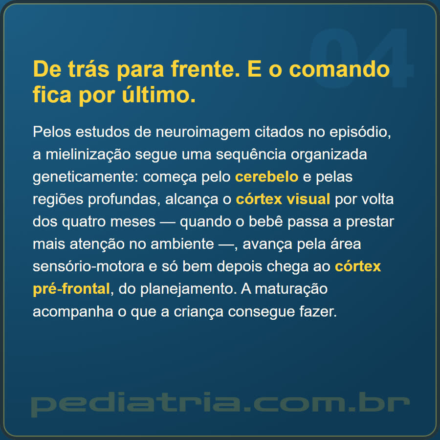 Slide 4 de 6 da edição