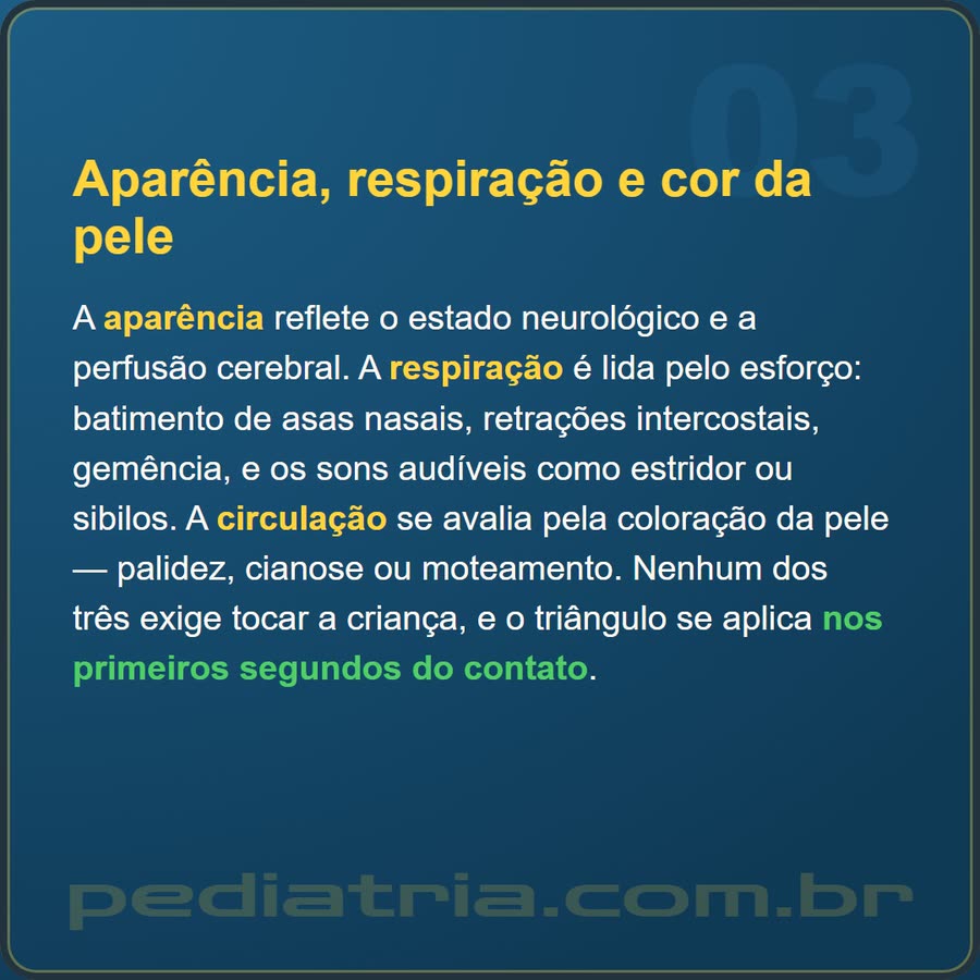 Slide 3 de 6 da edição