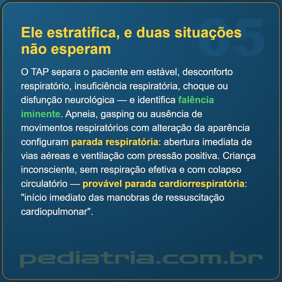 Slide 5 de 6 da edição